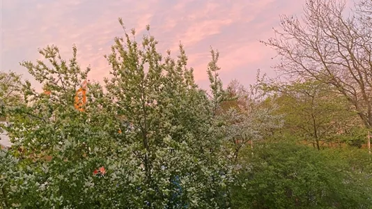 Lejligheder i Roskilde - billede 1