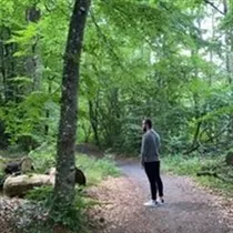 Carsten søger: lejlighed til leje i Odense V 